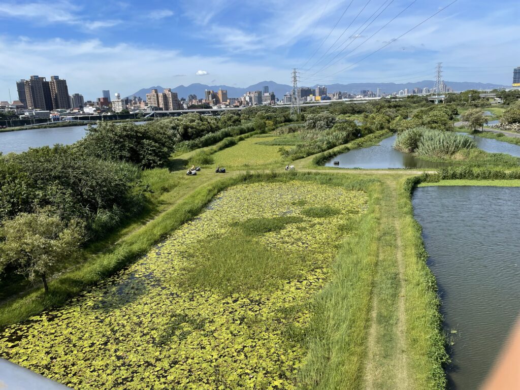 2023新北新月橋: 愜意步行欣賞美景的好地方