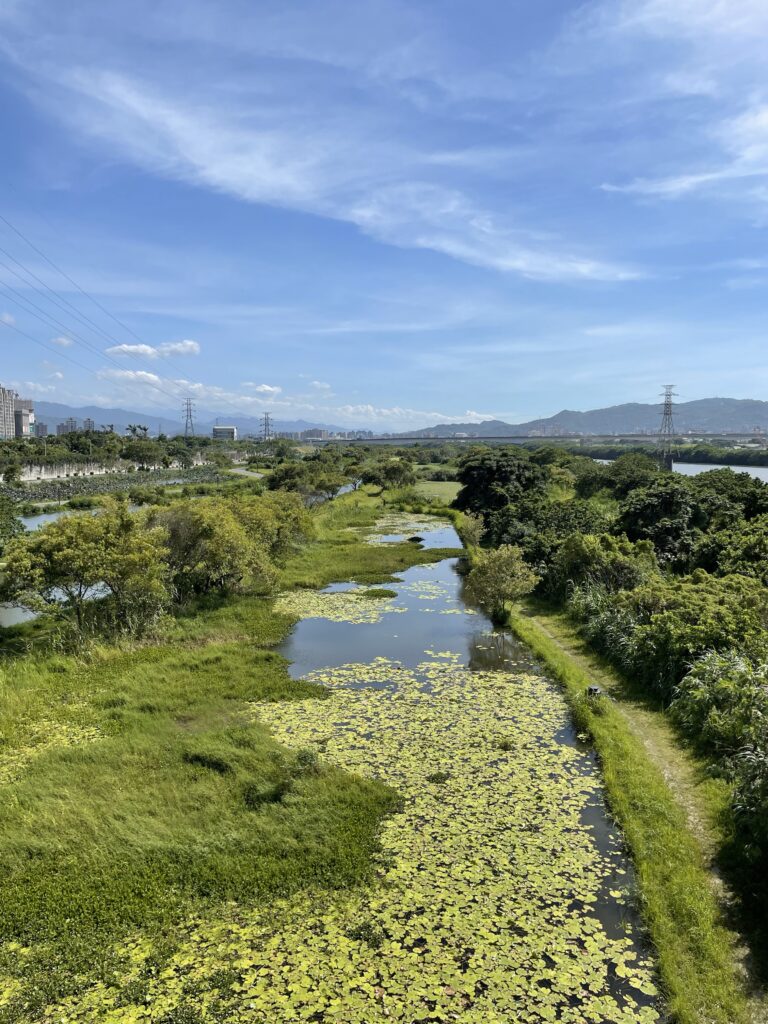 2023新北新月橋: 愜意步行欣賞美景的好地方